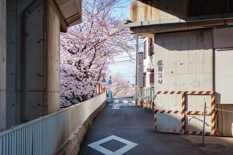 20220328-img_9248_sqsh50