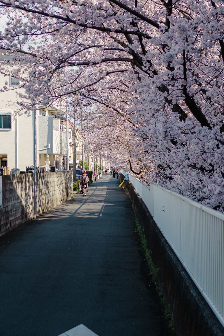 20220328-img_9249_sqsh50