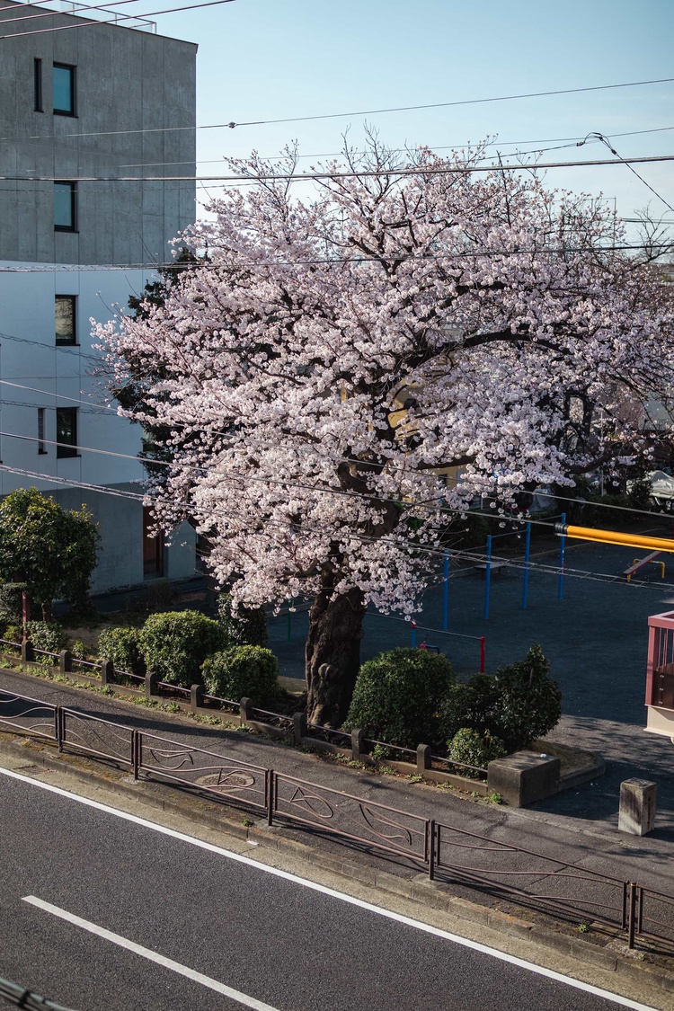 20220328-img_9254_sqsh50