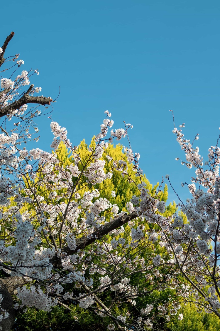 20220328-img_9257_sqsh50