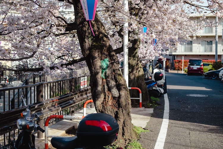 20220328-img_9258_sqsh50