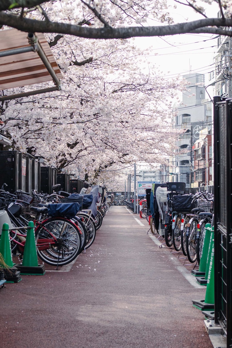 20220331-img_9328_sqsh50