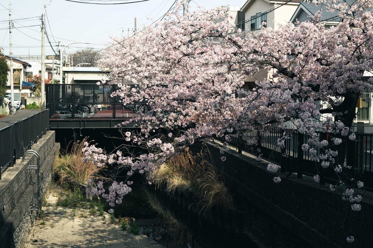 20220331-img_9330_sqsh50