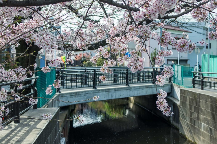 20220331-img_9334_sqsh50