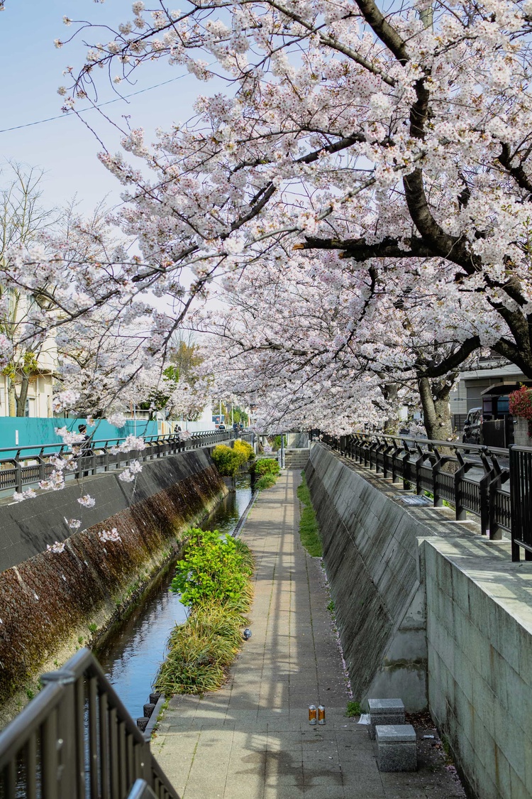 20220331-img_9335_sqsh50