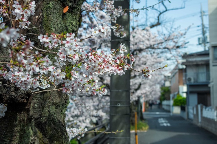 20220331-img_9337_sqsh50