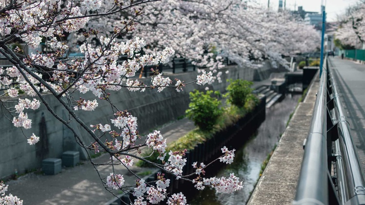 20220331-img_9339_sqsh50