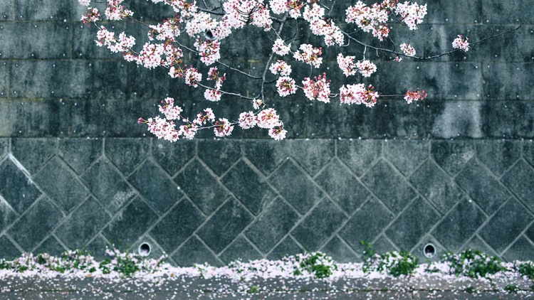 20220331-img_9342_sqsh50