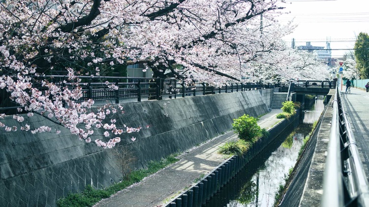 20220331-img_9344_sqsh50