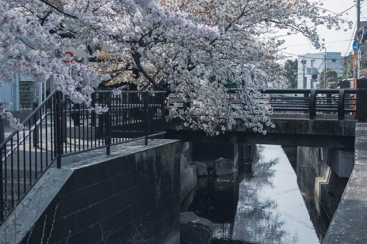 20220331-img_9347_sqsh50