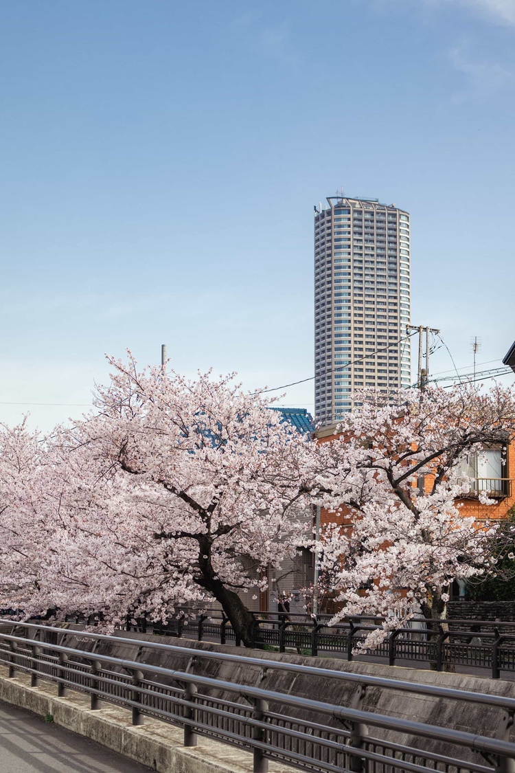 20220331-img_9349_sqsh50