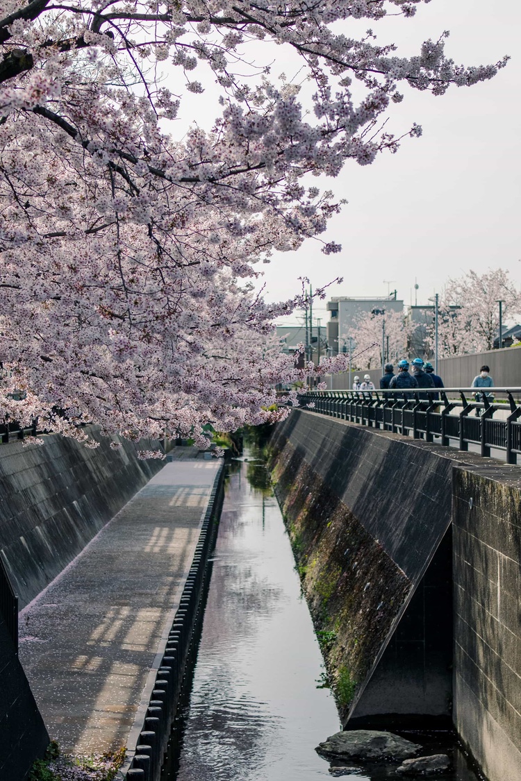 20220331-img_9352_sqsh50