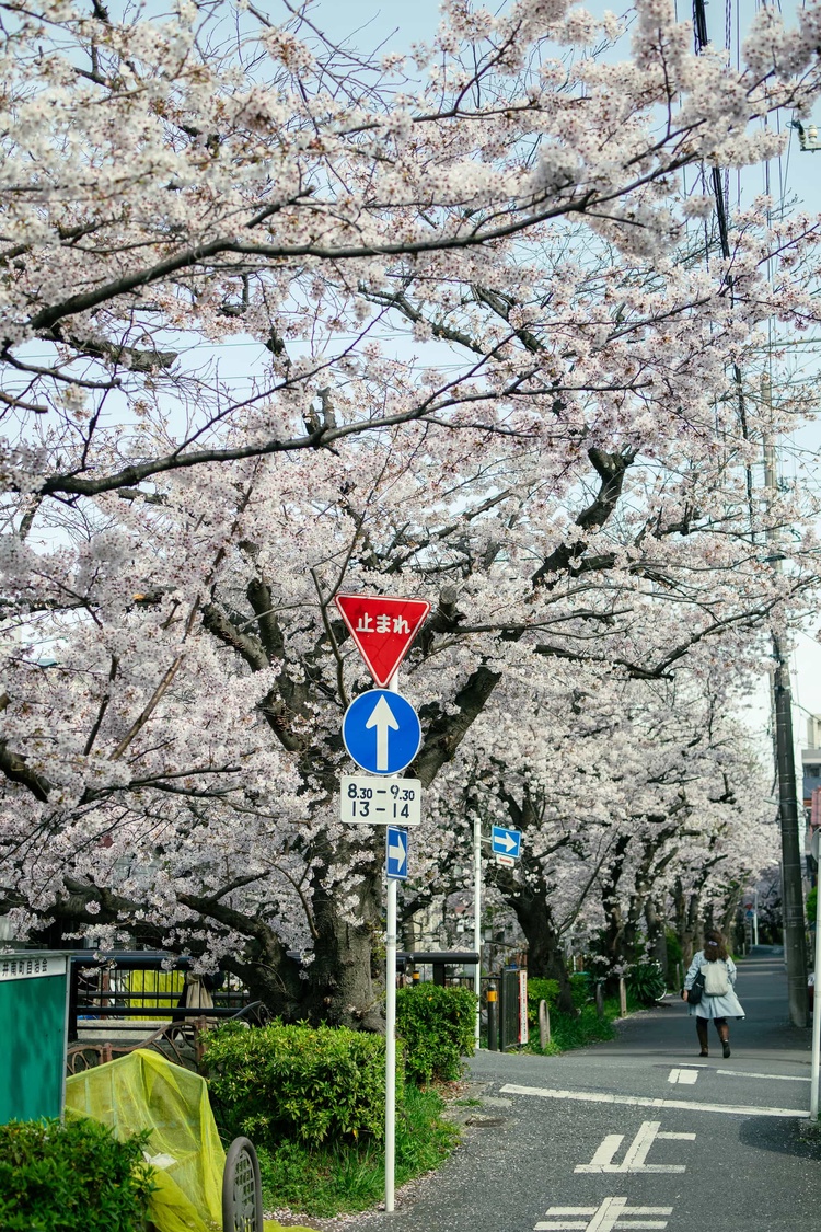 20220331-img_9353_sqsh50