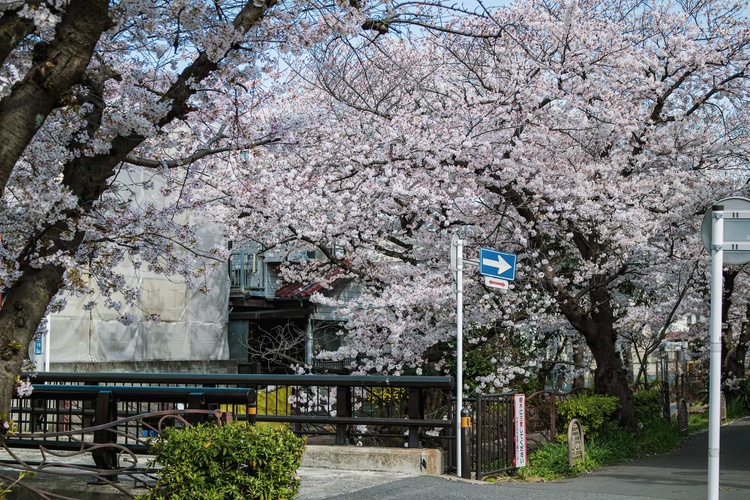 20220331-img_9354_sqsh50