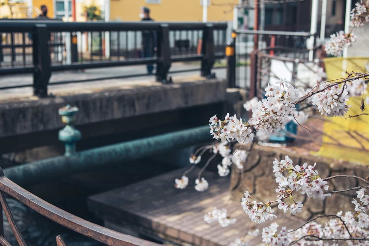 20220331-img_9357_sqsh50