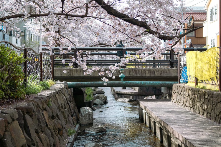 20220331-img_9359_sqsh50