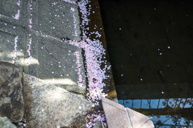 20220331-img_9362_sqsh50