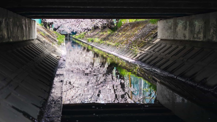 20220331-img_9363_sqsh50