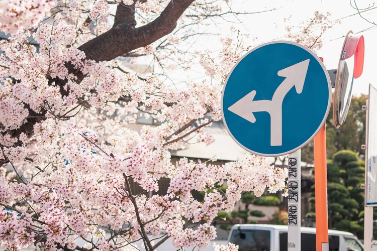 20220331-img_9364_sqsh50