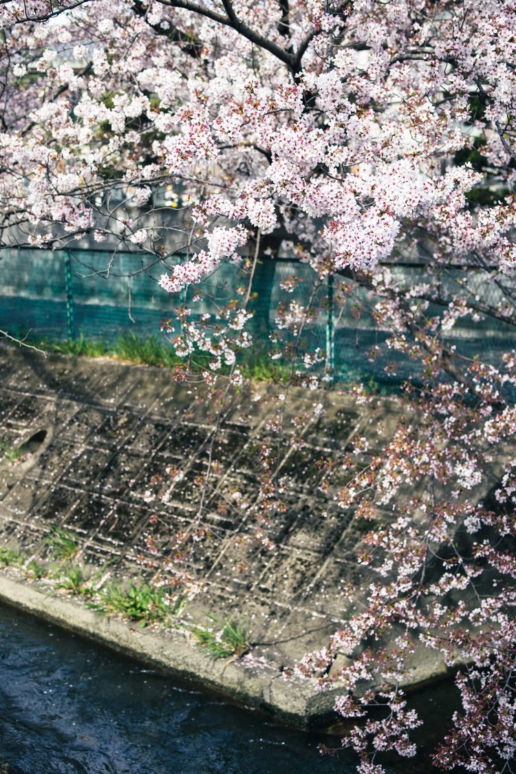 20220331-img_9365_sqsh50