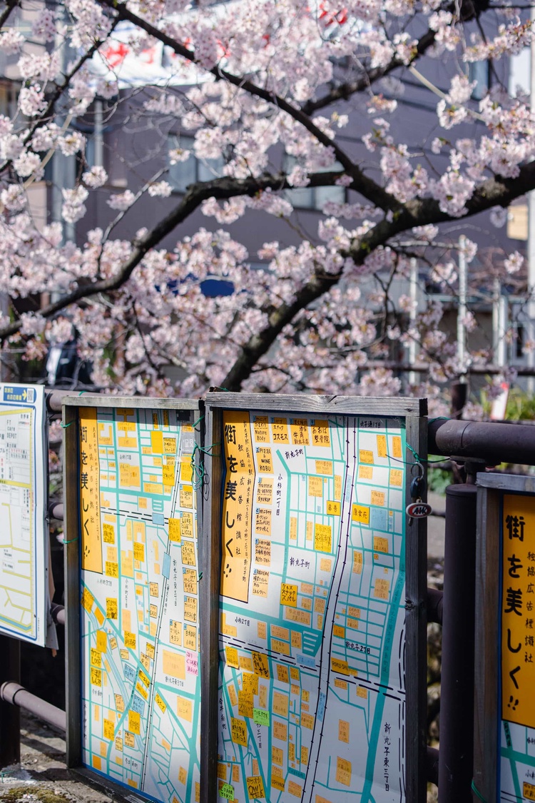 20220331-img_9369_sqsh50